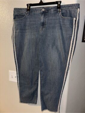 Style & Co Slim Ankle Jeans Metallic Silver Side Stripe Size 22W